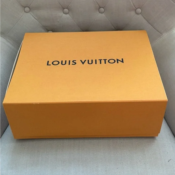 NEW Louis Vuitton Berri HOBO Bag - Picture 5 of 13